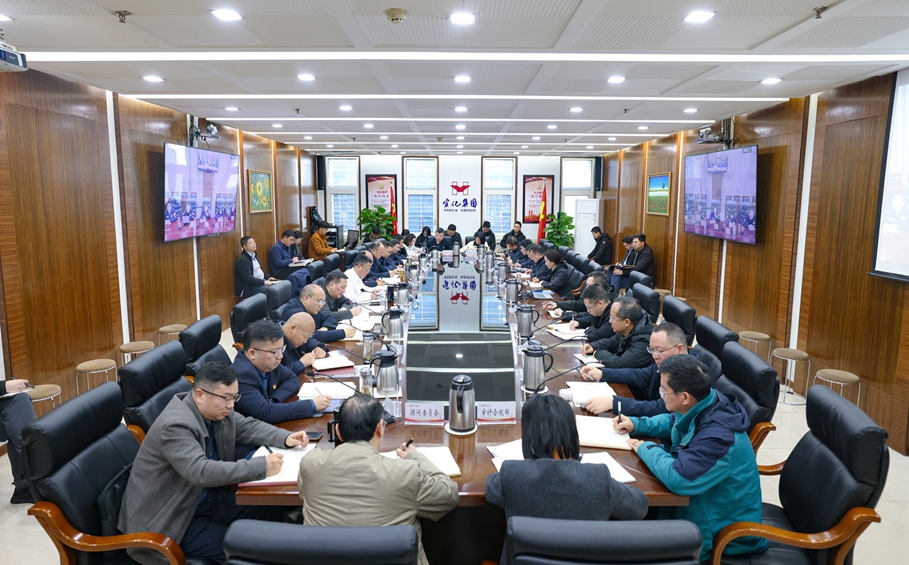 集團黨委傳達學習全國兩會精神 研究部署貫徹落實工作(圖1)